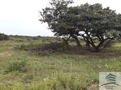 Área A Venda Extremoz