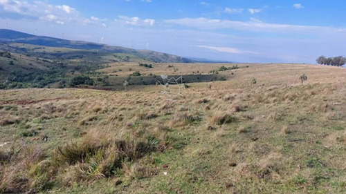 Campo De 80 Has En Paraje Carape Con Costa De Arroyo.