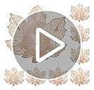 Posavasos De Hojas De Otoño Juego De 8, Posavasos De Acción
