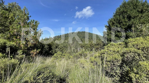 Imagen 17 de 27 de Terreno En Venta Salazar, Estado De México
