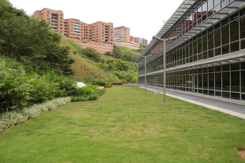 Imagen 4 de 11 de Se Vende Centro Empresarial 13156m² 2h/3b/2p Lomas Del Sol