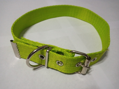 Collar De Polipropileno 50 Cm Para Perros Boxer/beagle