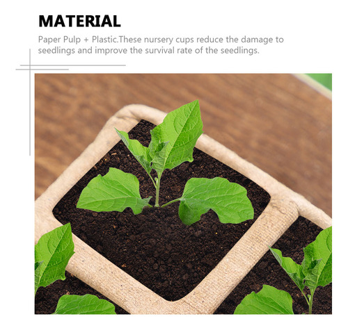 Macetas Para Plantas De Interior, Maceta De Vivero