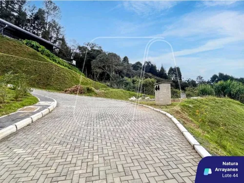Lote Natura Arrayanes Guarne A 5 Min Del Aeropuerto