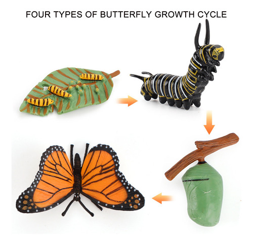 Cama De Plástico Con Forma De Insecto Con Forma De Ciclo De