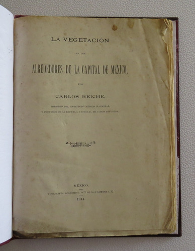 Vegetación En Alrededores De Capital De México 1914 Reiche