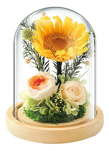 Funda De Cristal Con Forma De Girasol Con Forma De Flor Perp