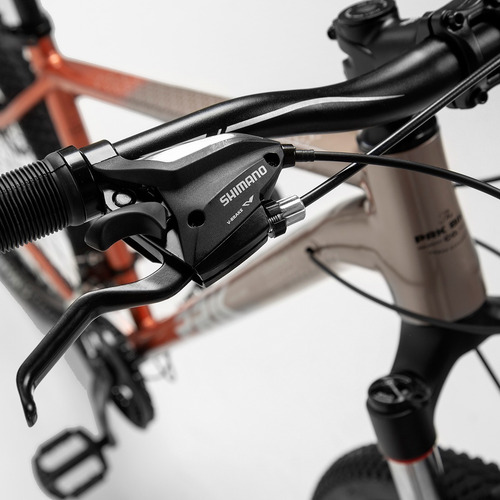 Mountain Bike Andrómeda R29 24v
