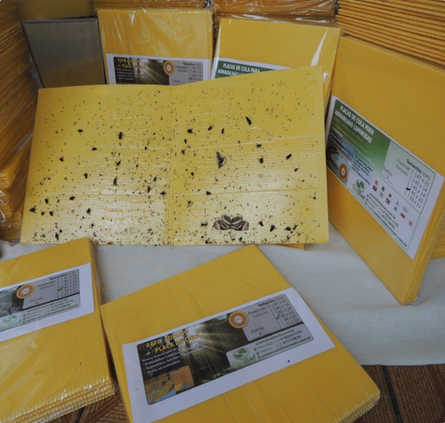 10 Refil Adesivo 45x14 Residências Matar Mosquitos Moscas