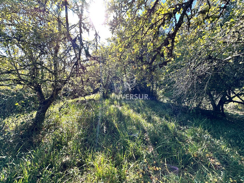 Hermoso Terreno En Arique Ruta Valdivia Los Lagos