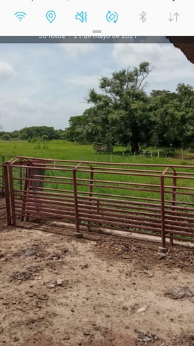 Imagen 27 de 30 de Finca 220 Ha Privadas, Estado Apure