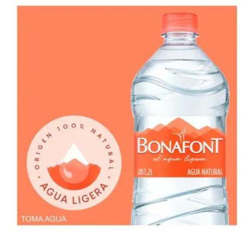 Agua Natural Bonafont 12 Pzas De 1.2 L C/u