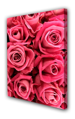 Cuadro 50x75cm Rosa Flor Jardin Planta M5