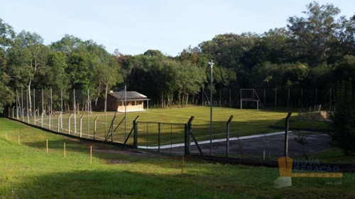 Imagem 9 de 12 de Chácara À Venda, 20000 M² Por R$ 3.600.000,00 - Linha 40 - Caxias Do Sul/rs - Ch0004