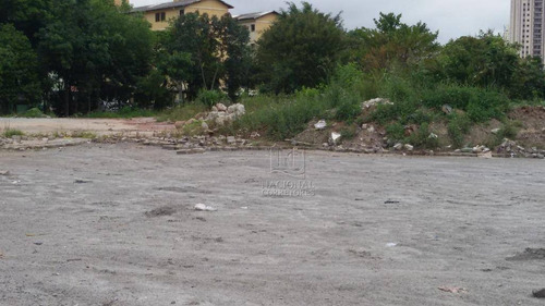 Terreno Para Alugar, 7300 M² Por R$ 70.000,00/mês - Vila Sacadura Cabral - Santo André/sp - Te1009