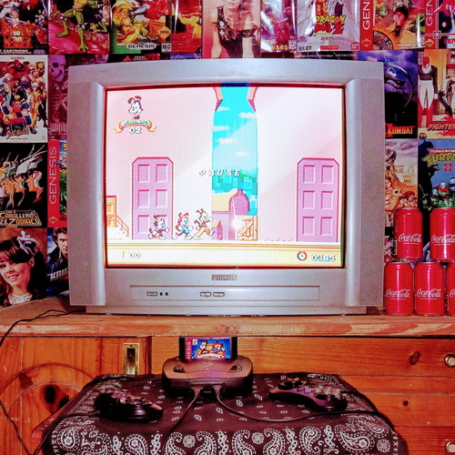 Cartucho De Sega Animaniacs (Usado)