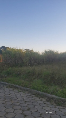 Imagem 4 de 5 de Terreno - Jardim Elizabeth - Ref: 372 - V-372