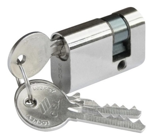 Imagen 2 de 6 de Cilindro Para Puertas Oval Perfil Universal 38mm Cisa