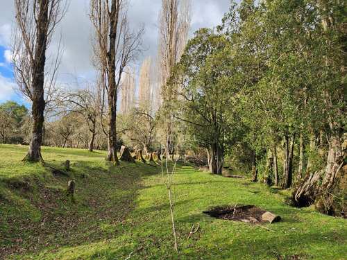 Cabaña Con Bosque Nativo Y Acceso A Río I Puerto Varas