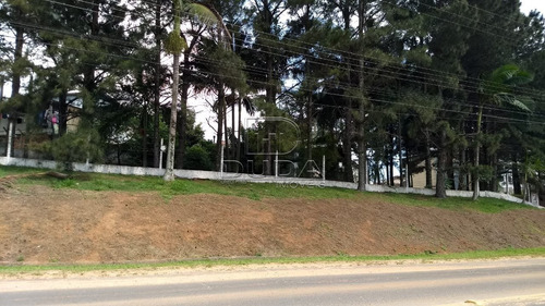 Imagem 2 de 8 de Galpao - Linha Anta - Ref: 29897 - V-29895