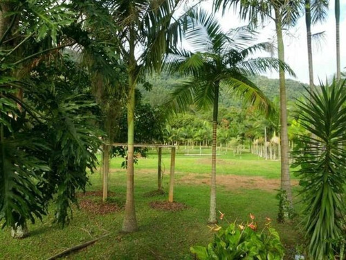 Imagem 12 de 30 de Sitio Em Camboriú - Aceita Permuta Em Balneário Camboriu 15mil M² - T102 - 3285723