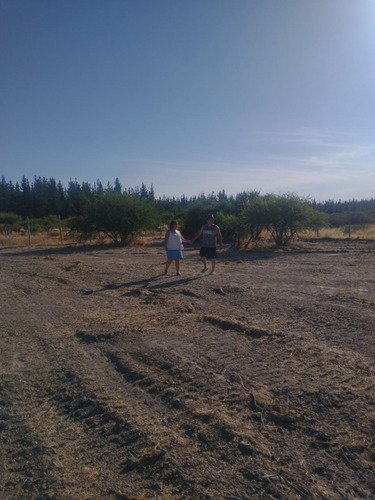 Parcela De 5.000m2 Cercada , San Ignacio Cauquenes.