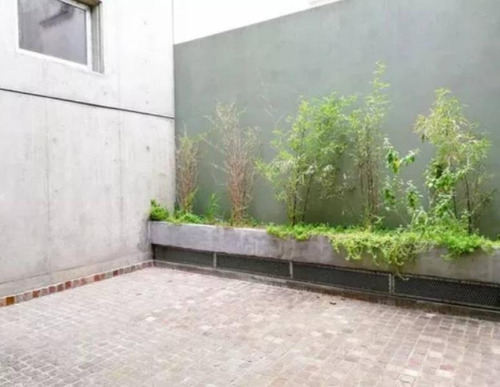 Imagen 2 de 15 de Departamento De 3 Dormitorios Dúplex Con Patio En Pichincha