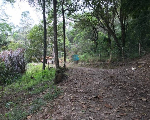Imagem 24 de 30 de Sitio Em Jarinú Para Venda. - Região De Atibaia - Sp - Escritura Registrada, Definitiva! - St00250 - 69735918