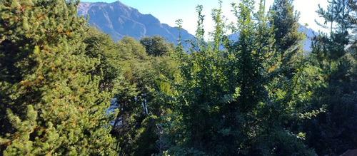 Imagen 13 de 14 de Venta En Bariloche Lote Sobre Costa Laguna Ezquerra Sector Lago Morenito Con Increíble Vista A Cerro López