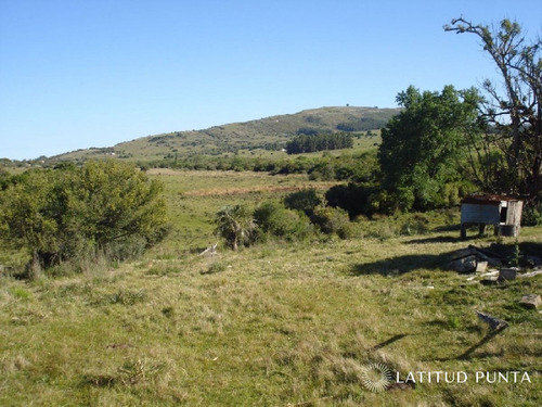 Imagen 6 de 18 de Campo 98 Has Con 2891 M2 En Carape Cuenta Con Costa De Arroyo.
