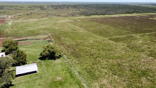 Imagen 8 de 10 de Campo De 1500 Ha Agrícola-ganadero - Galvez