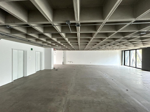 Oficina En Renta - Presidente Masaryk - Piso 1 - 330 M2