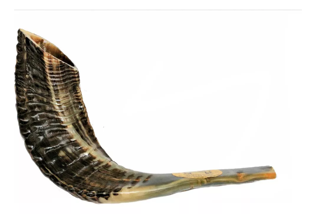 Terceira imagem para pesquisa de instrumento shofar 148 00 reais