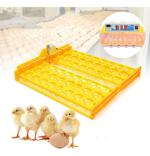 Incubadora Automática De Ovos 56 Ovos Turner Bandeja Codorna