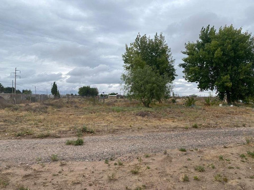 Imagen 10 de 15 de Chacra. Ciudad Industrial. Pin. Galpón. 1,8 Hectáreas. Neuquén. Alquiler