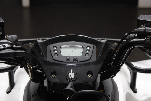 Imagen 2 de 14 de Kawasaki Brute Force- Envío Hasta Tu Casa Con Formularios!!