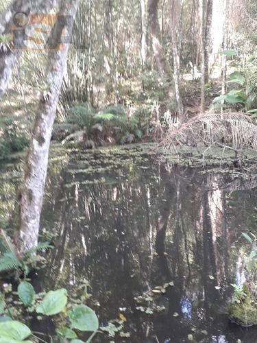 Imagem 2 de 8 de Chácara Em Biritiba Ussu - Mogi Das Cruzes, Sp - 3602