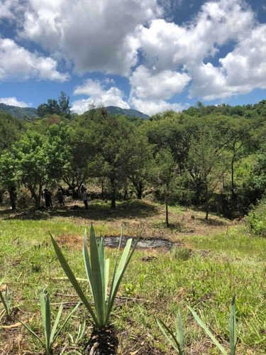 Imagen 9 de 12 de Terreno De 3.5 Hectáreas En San Antonio Zumpahuacan
