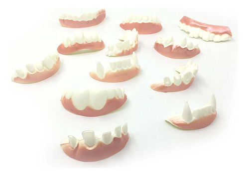 Divertidas Dentaduras Postizas Tipo C Con Dientes De Conejo