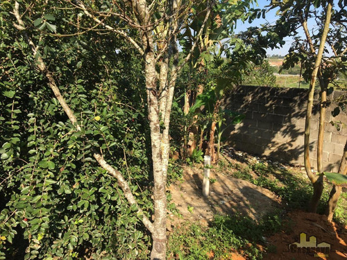Imagem 7 de 30 de Chácara Em Loteamento Villa Branca, Jacareí/sp De 1000m² 5 Quartos Para Locação R$ 4.000,00/mes - Ch1148117-r