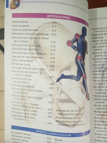 Atlas De Anatomía Student Master (nuevo)