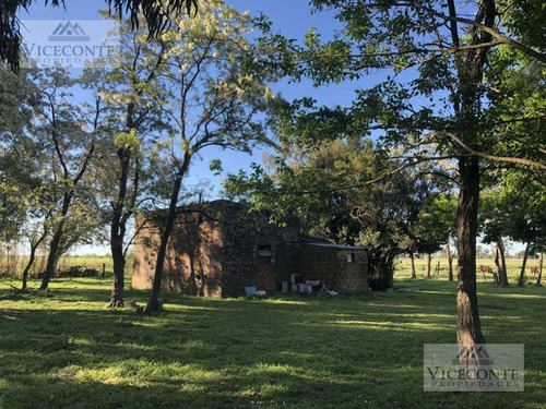 General Belgrano, Buenos Aires, A 3000 Metros De La Ruta Provincial 29