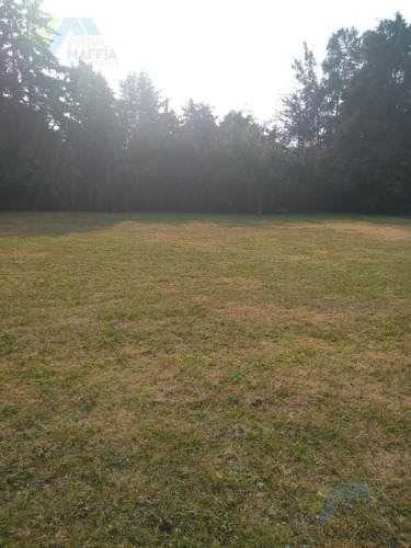 Imagen 18 de 20 de Venta De Terreno - La Otilia
