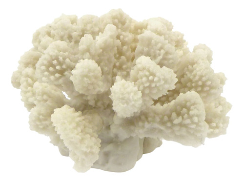 Coral Decorativo Blanco | Chico
