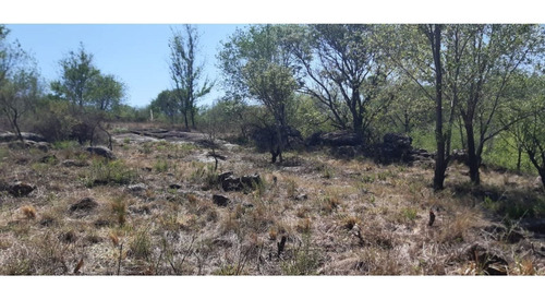 Imagen 5 de 7 de Vendo Fraccion Lote De 8000m2 En Mirador Del Lago