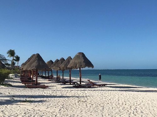 Imagen 17 de 25 de Departamento En Venta En Playa Mujeres Cancun