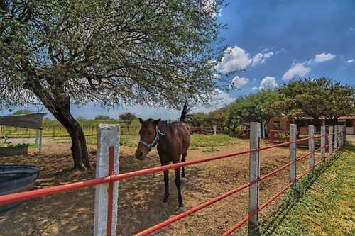 Imagen 20 de 23 de Ranchito Mi Sueño