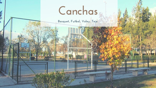 Imagen 7 de 10 de Trailer Para 2 Cuatriciclos En Ayres De Etcheverry