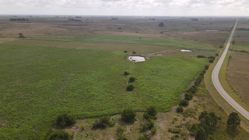 Campo En Venta De 150 Ha Agrícola Ganadero En Florida (ref: Atm-7901)