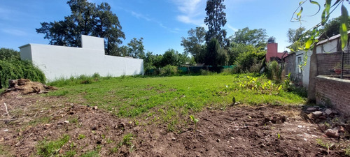 Imagen 2 de 3 de Venta Lotes Calle Pasteur